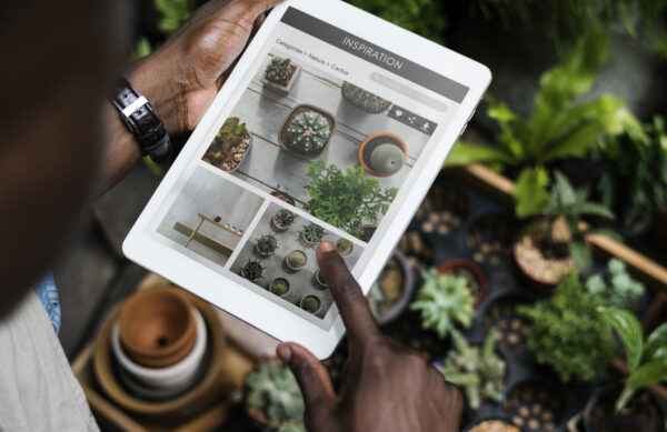 Plant Green Growth Gardening Botany Natural