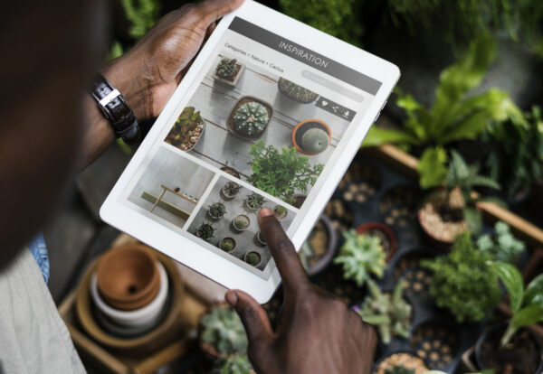 Plant Green Growth Gardening Botany Natural